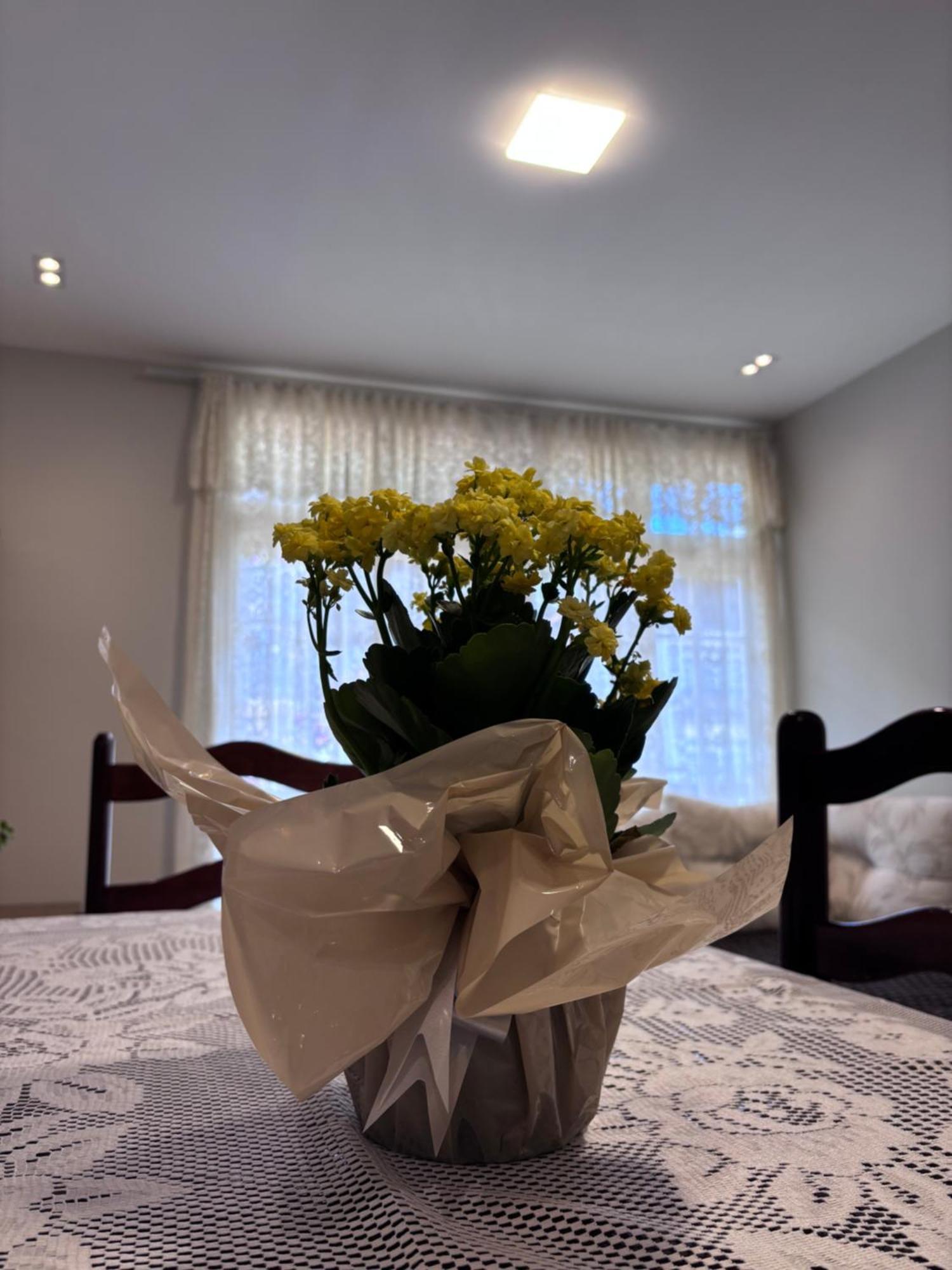 Refugio Na Serra Condominio Em Olaria, Nova Friburgo-Rj Kültér fotó